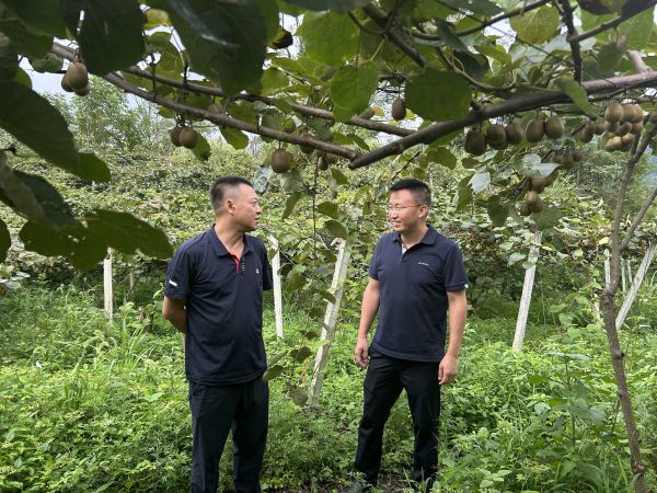 情系鄉(xiāng)村暖人心 聚力振興再出發(fā) 周川州赴道真仡佬族苗族自治縣親切慰問駐村干部